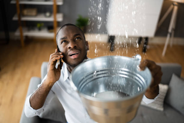 Best Water damage restoration experts  in Americus, GA