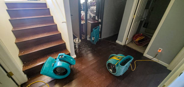 Best Carpet water damage restoration  in Americus, GA
