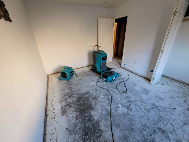 Best Basement water damage restoration  in Americus, GA