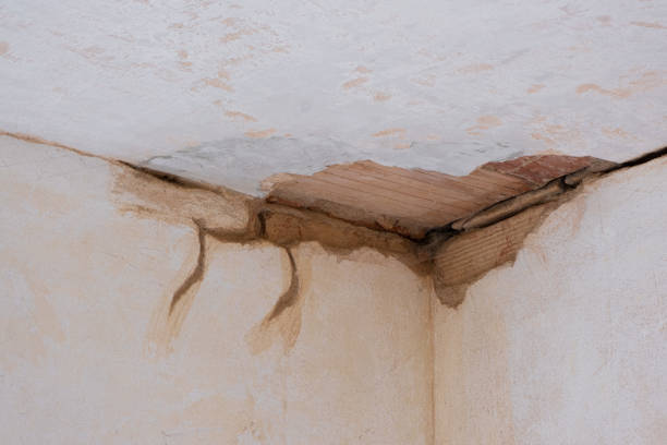 Trusted Americus, GA Water damage restoration Experts