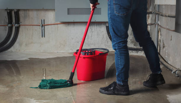 Best Ceiling water damage repair  in Americus, GA