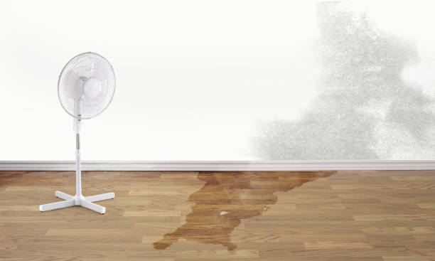 Best Commercial water damage restoration  in Americus, GA