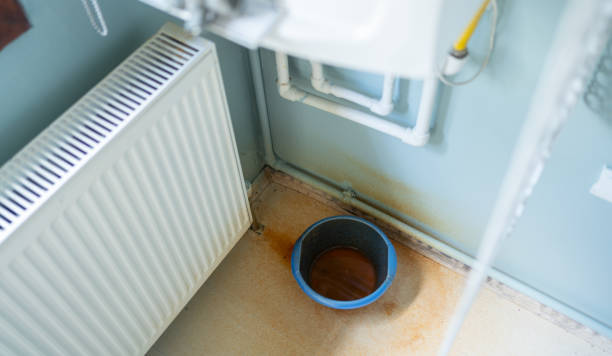 Best Local water damage restoration  in Americus, GA