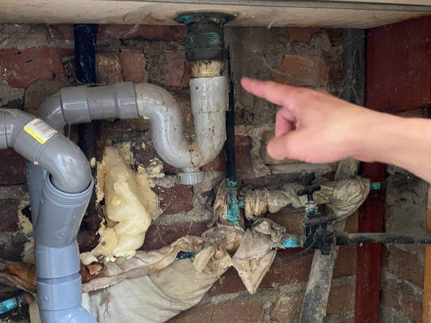 Best Carpet water damage restoration  in Americus, GA
