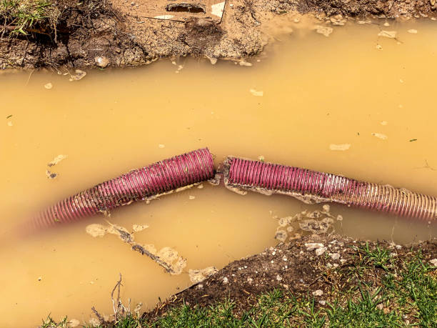Water damage restoration mold remediation in Americus, GA